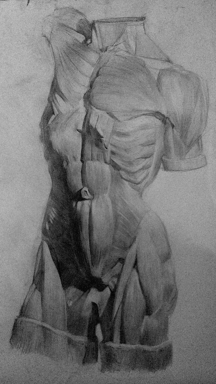 Курс по анатомии